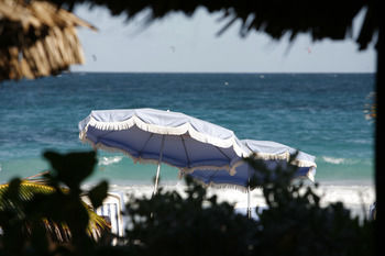 Exercise or Lap Pool